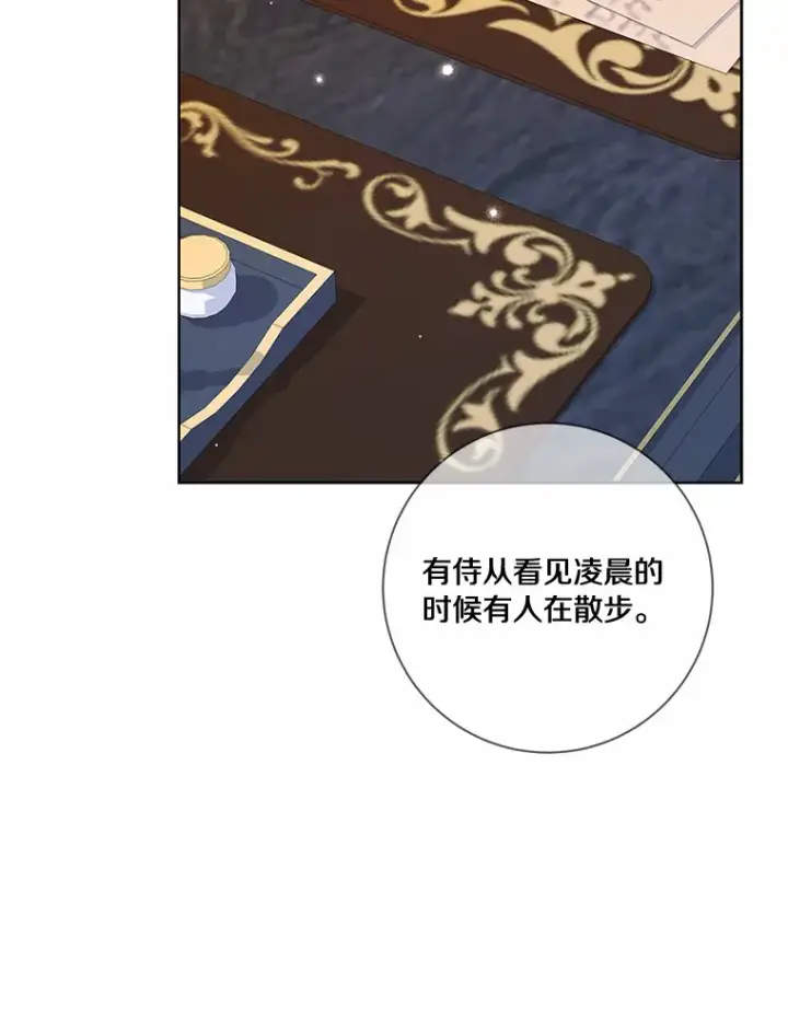 《龙套大公子妃的花路人生》45.魔力石图123