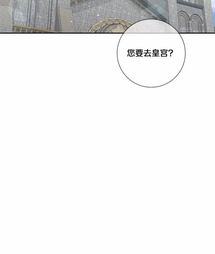 《龙套大公子妃的花路人生》45.魔力石图133