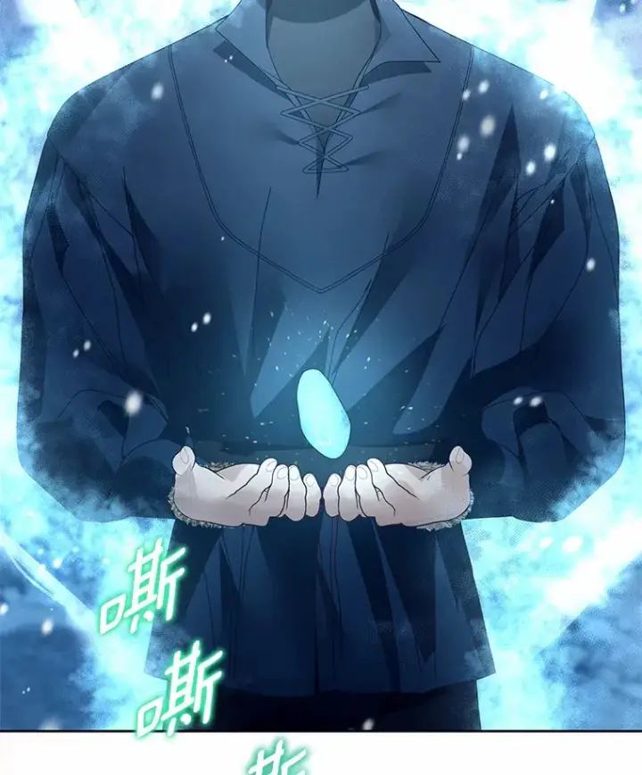 《龙套大公子妃的花路人生》45.魔力石图18