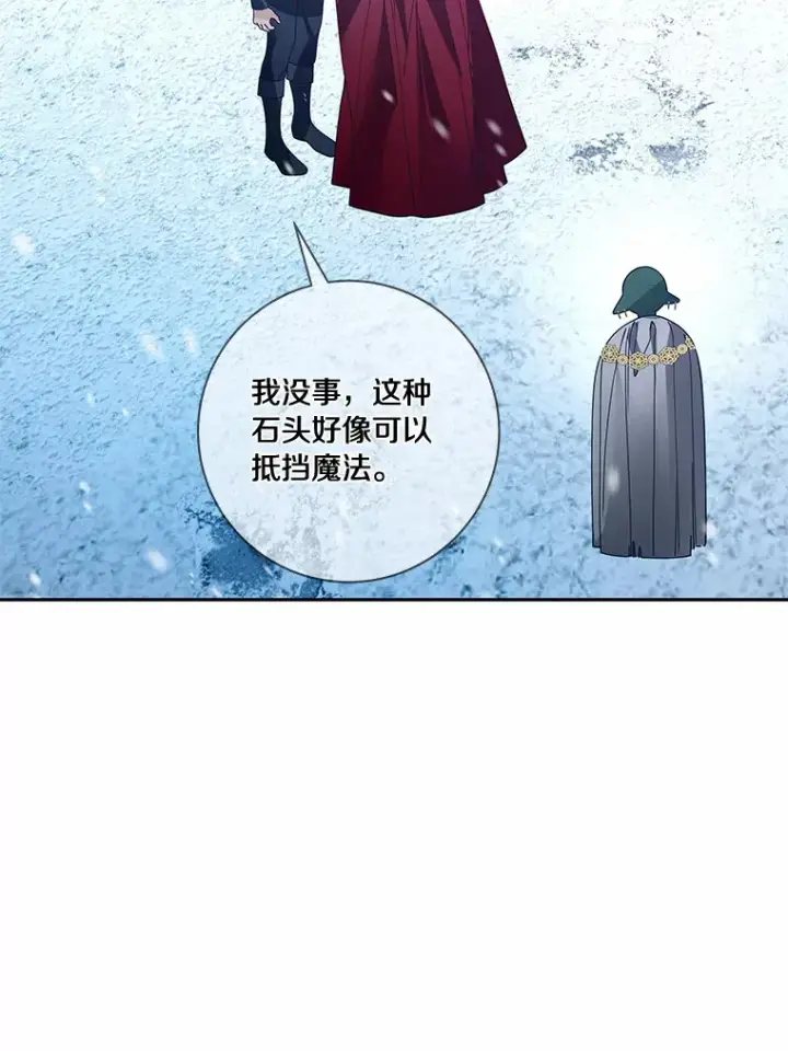 《龙套大公子妃的花路人生》45.魔力石图21