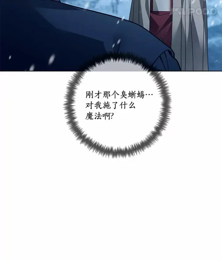 《龙套大公子妃的花路人生》45.魔力石图29
