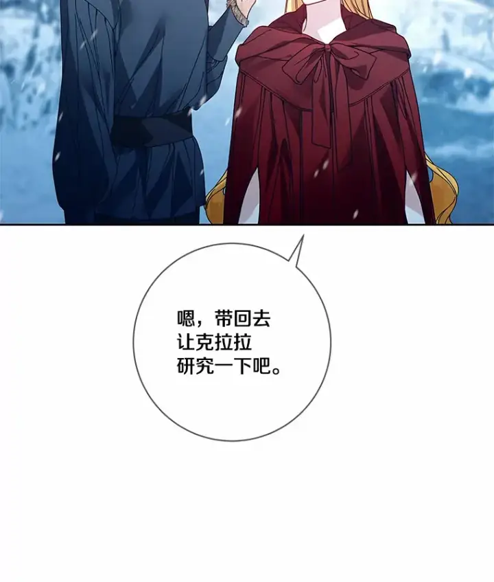 《龙套大公子妃的花路人生》45.魔力石图31