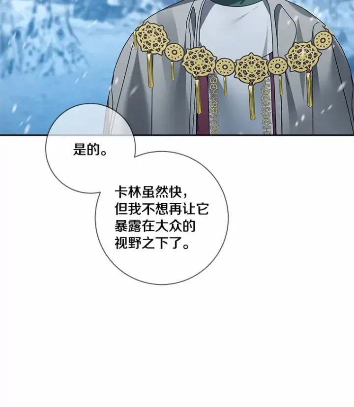 《龙套大公子妃的花路人生》45.魔力石图33