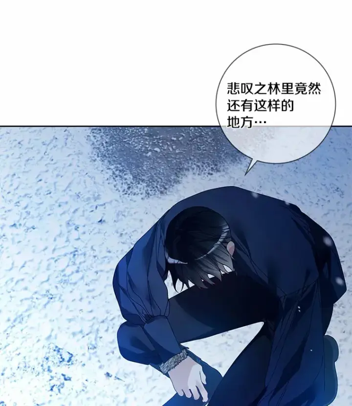 《龙套大公子妃的花路人生》45.魔力石图7