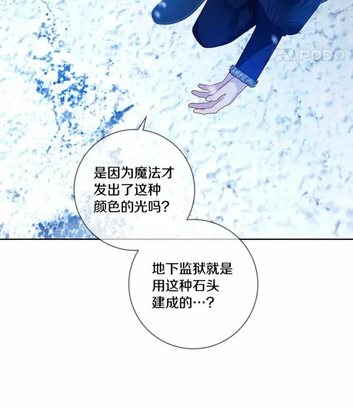 《龙套大公子妃的花路人生》45.魔力石图8