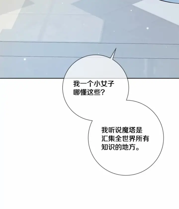 《龙套大公子妃的花路人生》45.魔力石图86