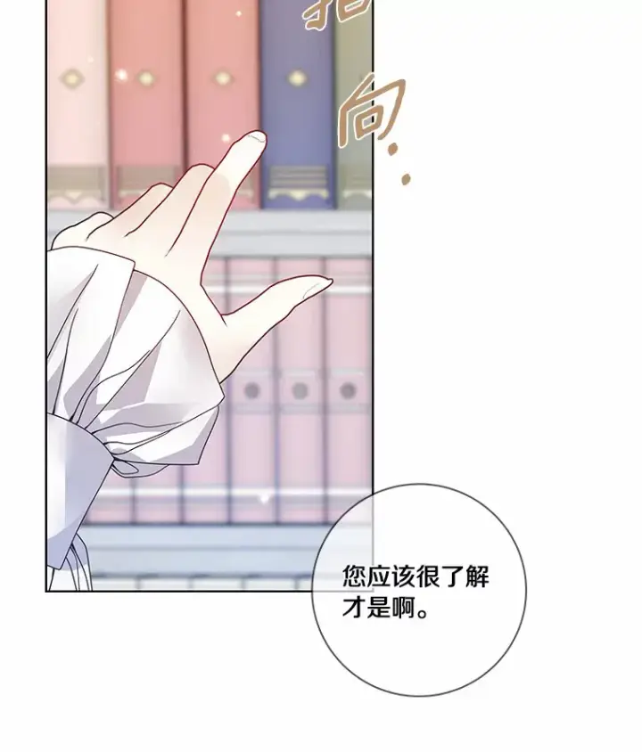 《龙套大公子妃的花路人生》45.魔力石图91