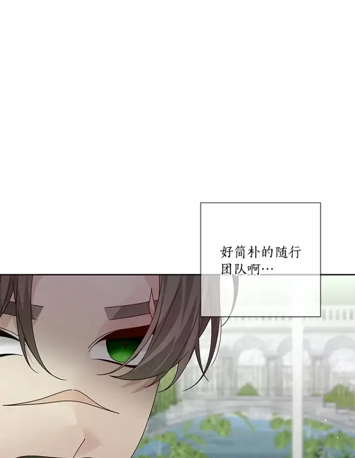 《龙套大公子妃的花路人生》60.公主驾到图100