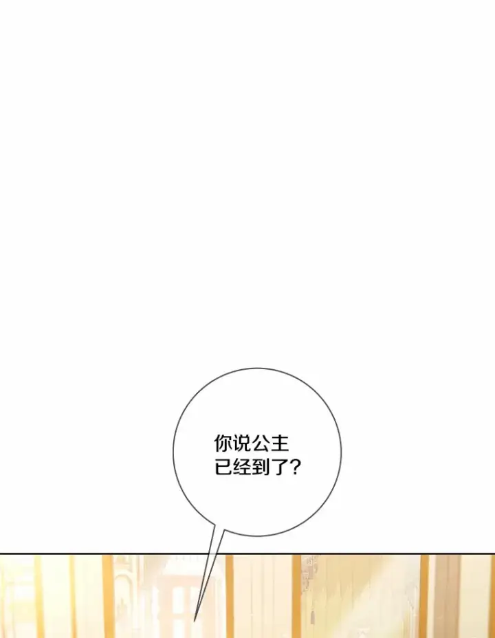 《龙套大公子妃的花路人生》60.公主驾到图105