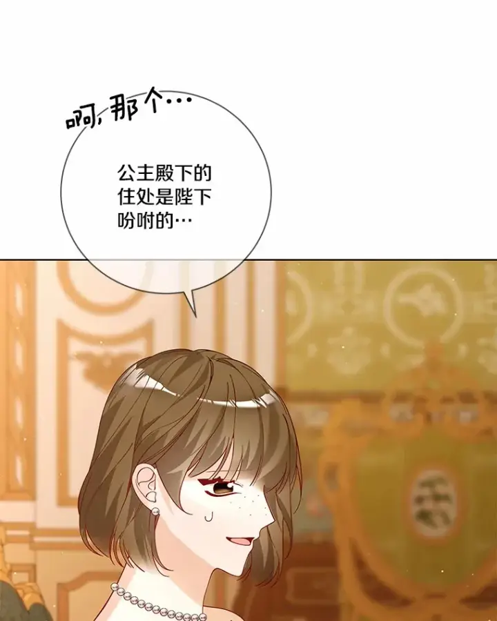 《龙套大公子妃的花路人生》60.公主驾到图112