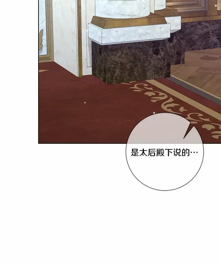 《龙套大公子妃的花路人生》60.公主驾到图136
