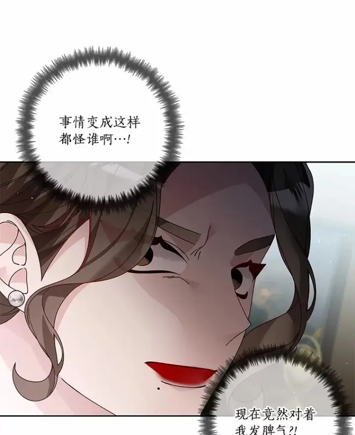 《龙套大公子妃的花路人生》60.公主驾到图44