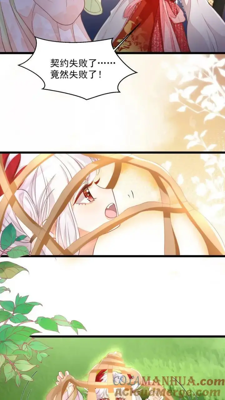 《论反派摆烂的一百零八种方式》第5话 这破鸟想当我主人图19