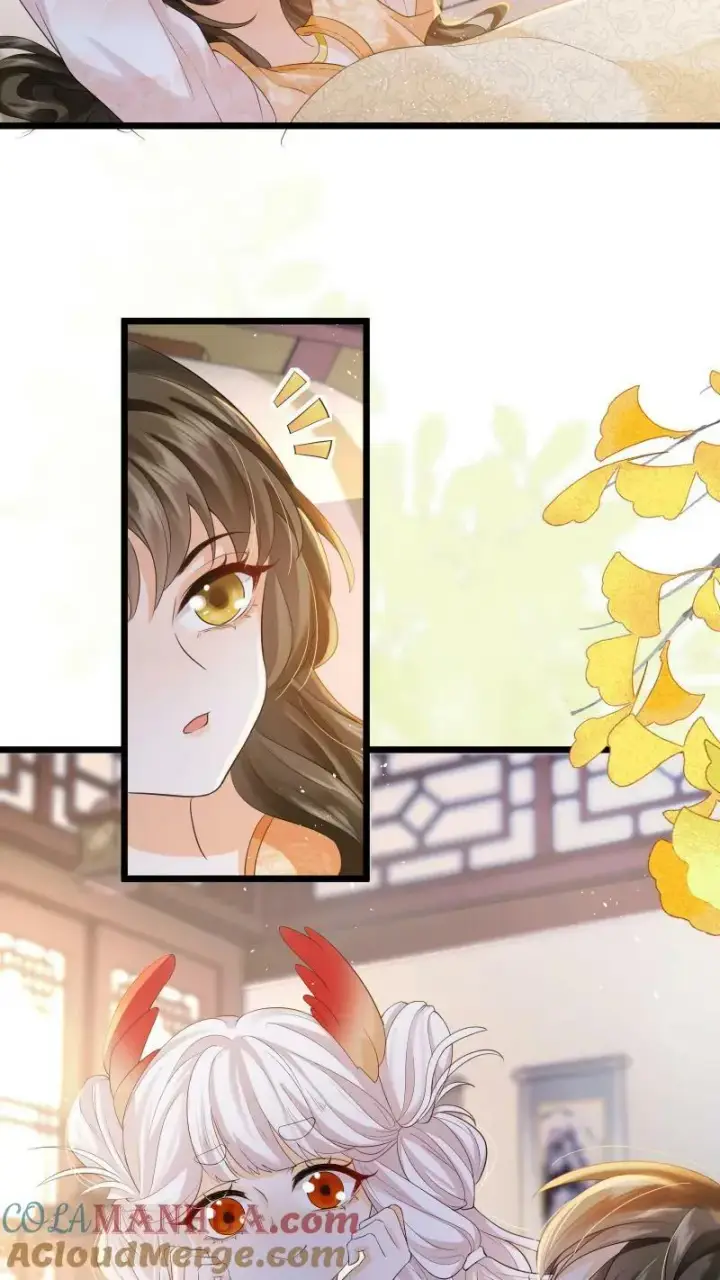 《论反派摆烂的一百零八种方式》第5话 这破鸟想当我主人图27