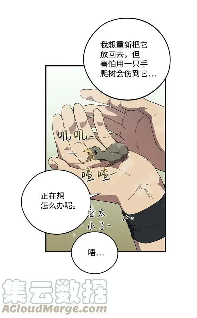 《落日夕阳，冰冷目光》[第114话] 结婚吗？！（1）图13