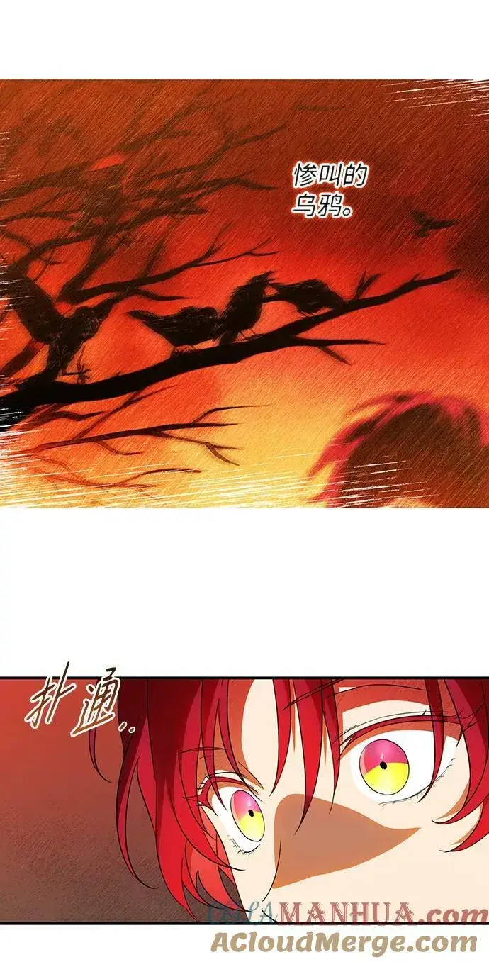 《落日夕阳，冰冷目光》[第141话] 命运的方向（3）图16