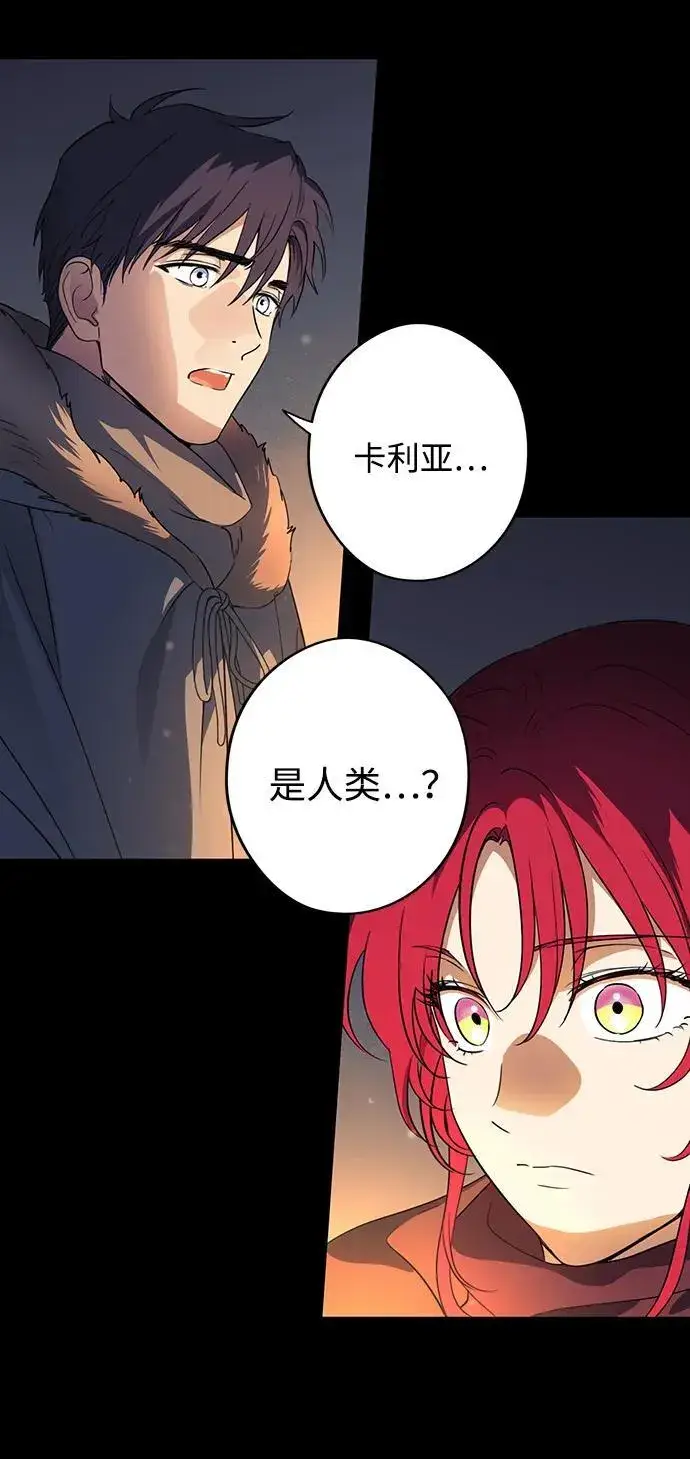 《落日夕阳，冰冷目光》[第2季 37话] 被隐藏的故事（2）图9