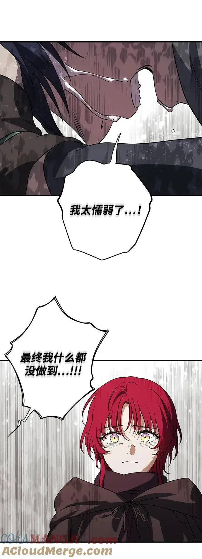 《落日夕阳，冰冷目光》[第2季 43话] 魔女狩猎（4）图43