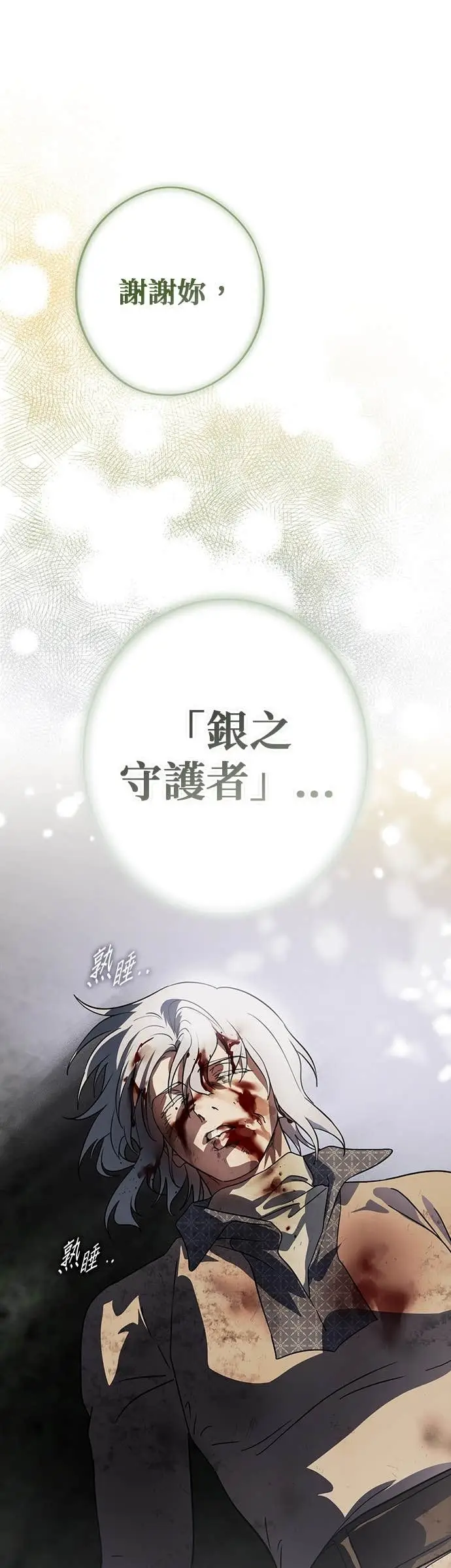 《落日夕阳，冰冷目光》外传 第10话 银之帝国骑士（10）图28