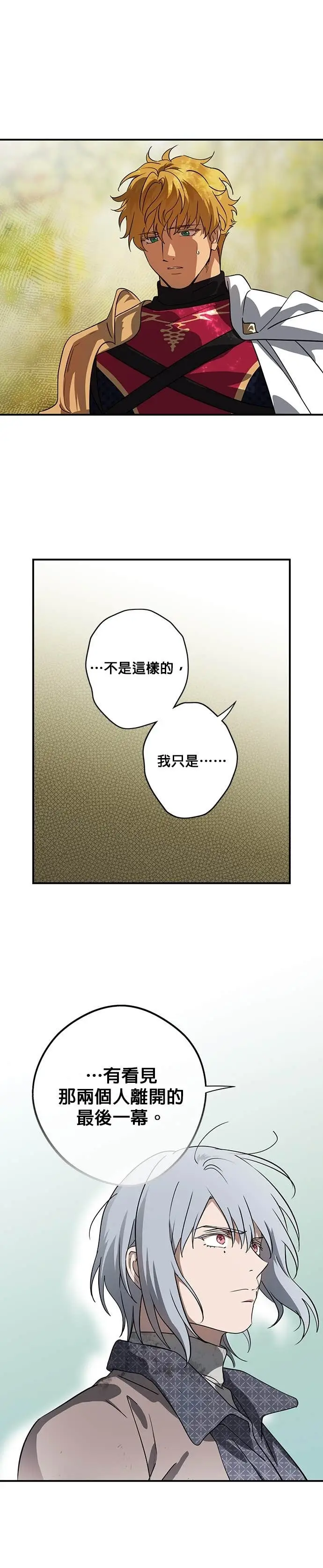 《落日夕阳，冰冷目光》外传 第11话 银之帝国骑士（11）图22