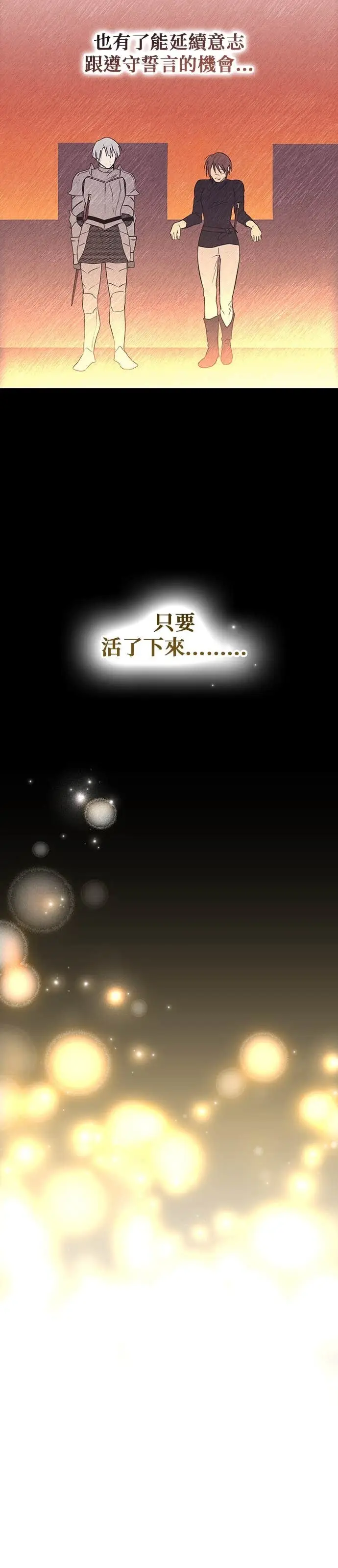 《落日夕阳，冰冷目光》外传 第11话 银之帝国骑士（11）图8