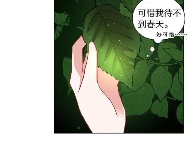《露西亚-攻略公爵计划》第16话 玫瑰宫图38