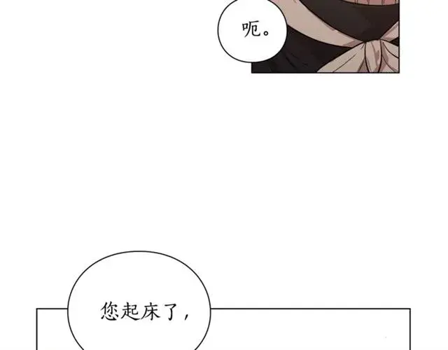 《露西亚-攻略公爵计划》第16话 玫瑰宫图9