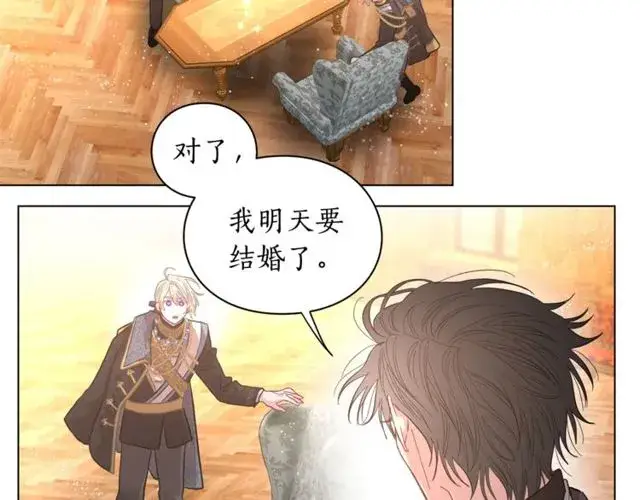 《露西亚-攻略公爵计划》第16话 玫瑰宫图93