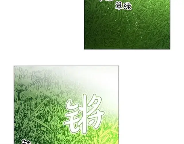 《露西亚-攻略公爵计划》第26话 私生子是？！图48