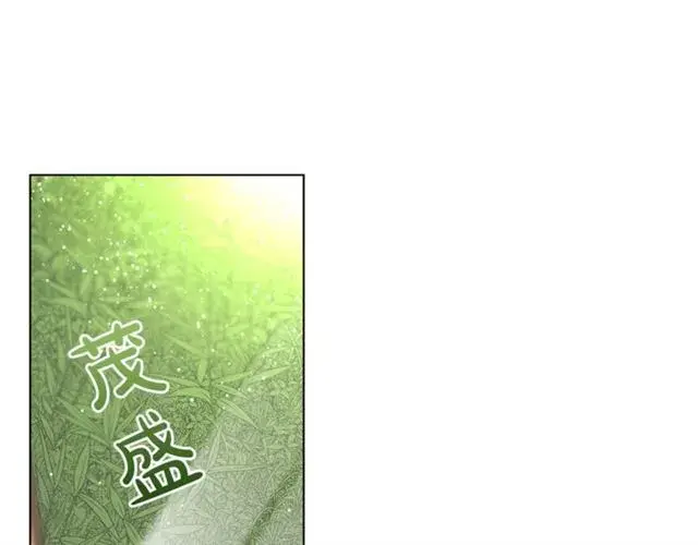 《露西亚-攻略公爵计划》第34话 再试一次吧图133