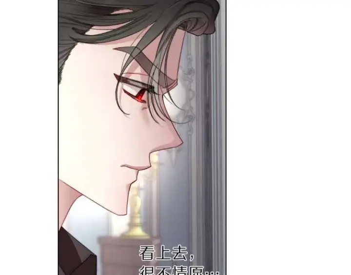 《露西亚-攻略公爵计划》第59话 夫人的锋利图27
