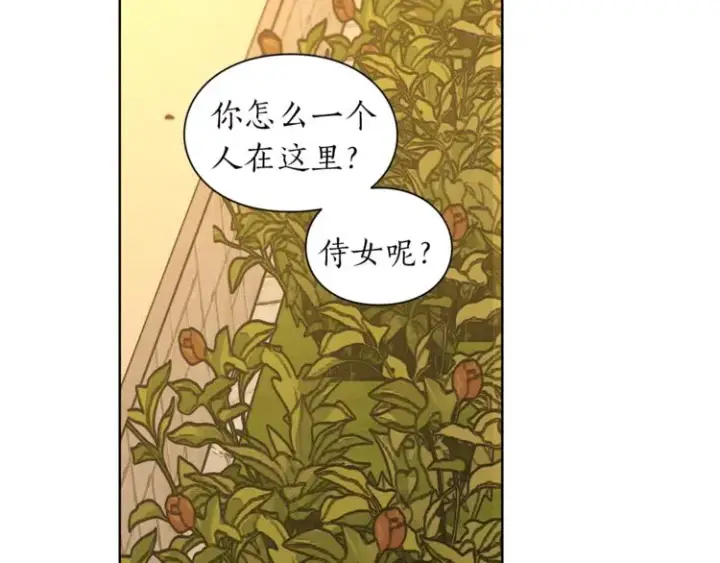 《露西亚-攻略公爵计划》第67话 都是我的错图22