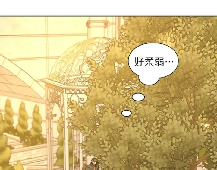 《露西亚-攻略公爵计划》第67话 都是我的错图80