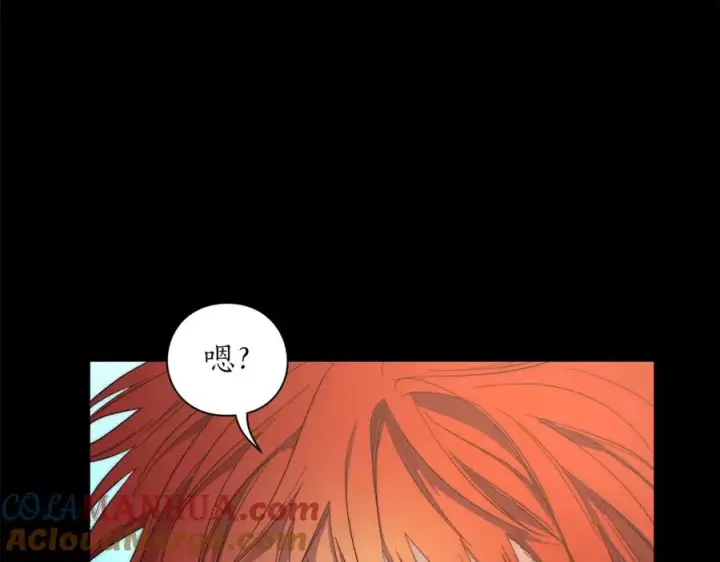 《露西亚-攻略公爵计划》第76话 关于送矿山的事图17