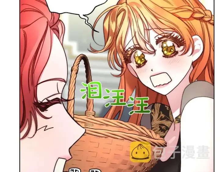 《露西亚-攻略公爵计划》第79话 带你见个人图40