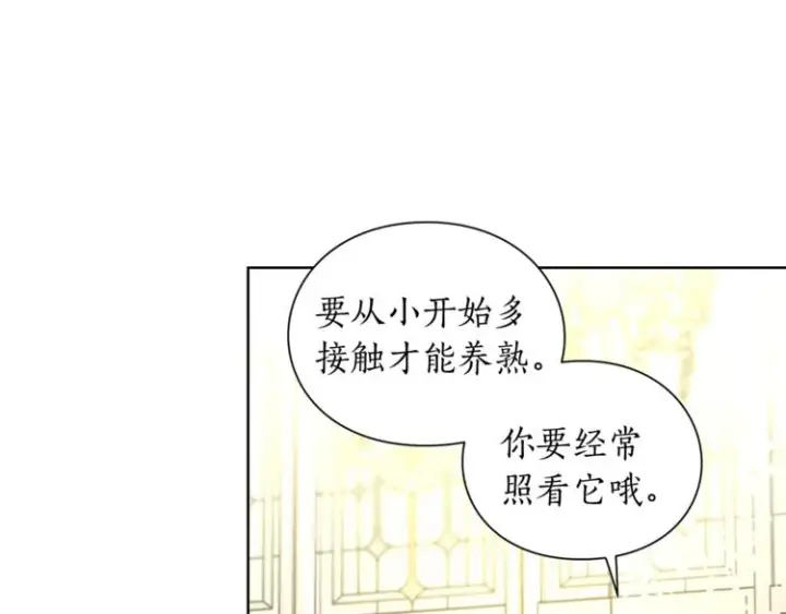 《露西亚-攻略公爵计划》第79话 带你见个人图46