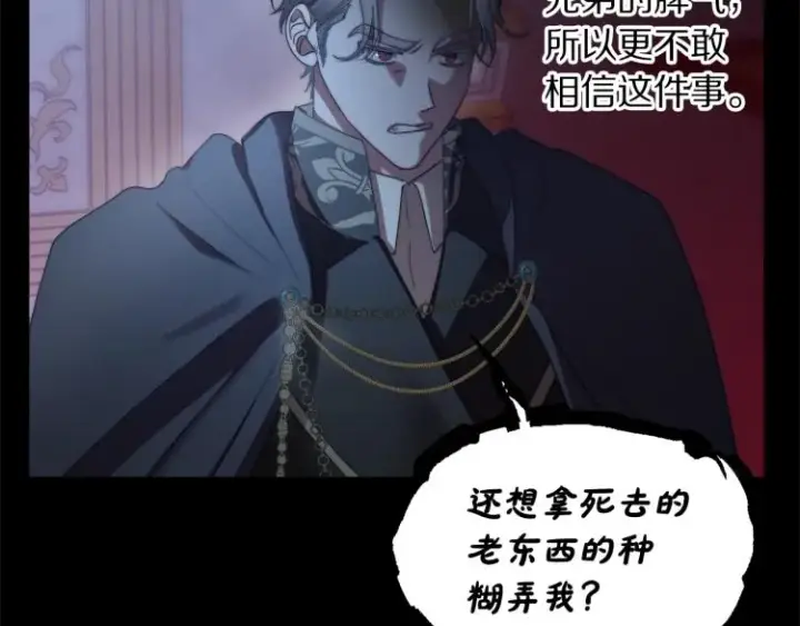 《露西亚-攻略公爵计划》第94话 爱图34