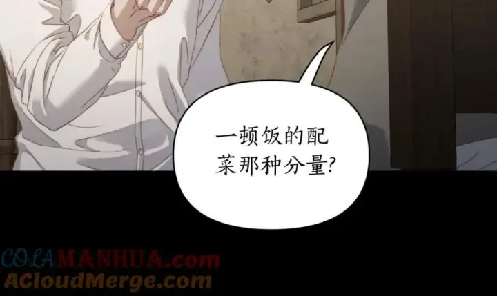 《露西亚-攻略公爵计划》第116话 是希望还是阴谋？图17