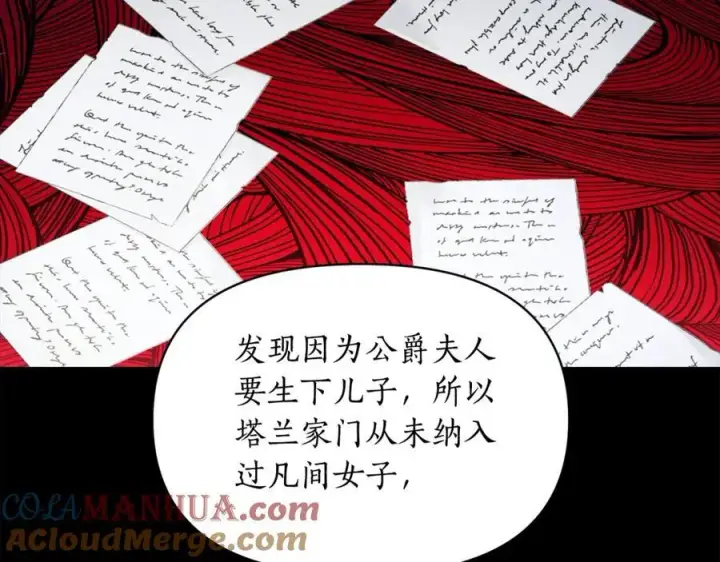 《露西亚-攻略公爵计划》第117话 血脉的秘密图29