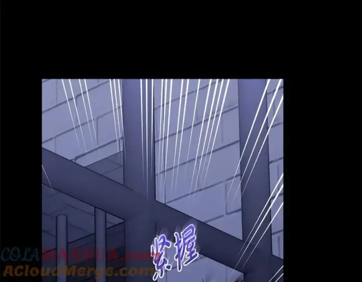 《露西亚-攻略公爵计划》第117话 血脉的秘密图73