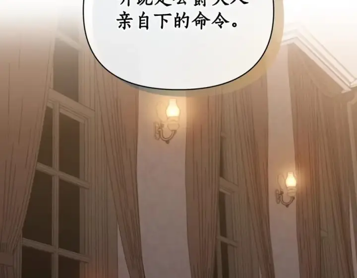 《露西亚-攻略公爵计划》第119话 请求见面图119