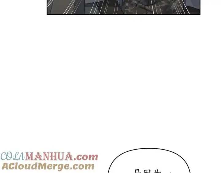 《露西亚-攻略公爵计划》第119话 请求见面图17