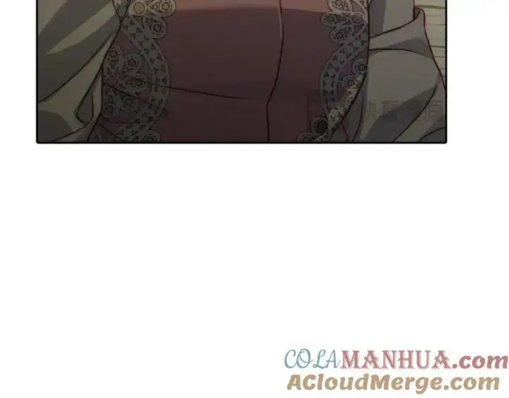 《露西亚-攻略公爵计划》第119话 请求见面图37