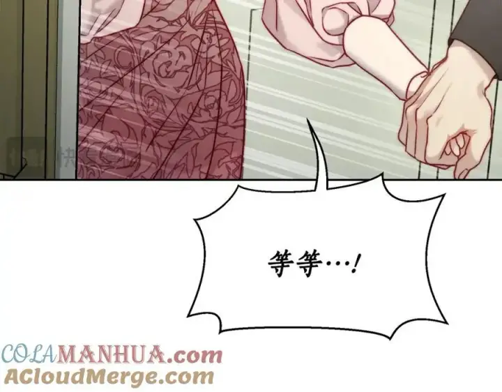 《露西亚-攻略公爵计划》第121话 他回来啦图133