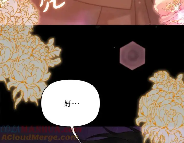 《露西亚-攻略公爵计划》第121话 他回来啦图33