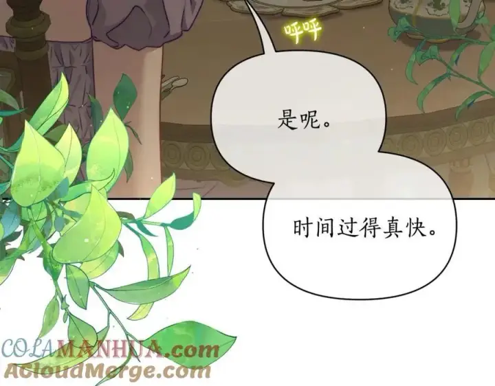 《露西亚-攻略公爵计划》第124话 平静的幸福图161