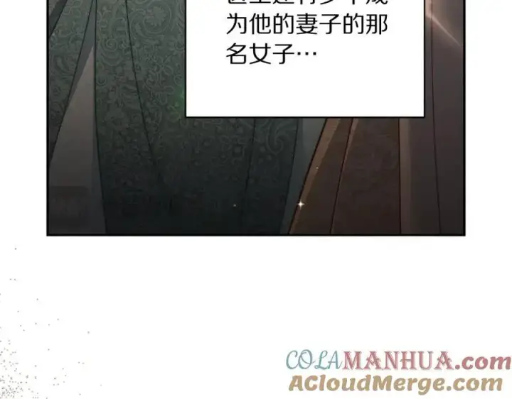 《露西亚-攻略公爵计划》第125话 回到王城图141