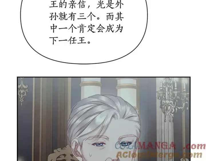 《露西亚-攻略公爵计划》第146话 吃醋图137