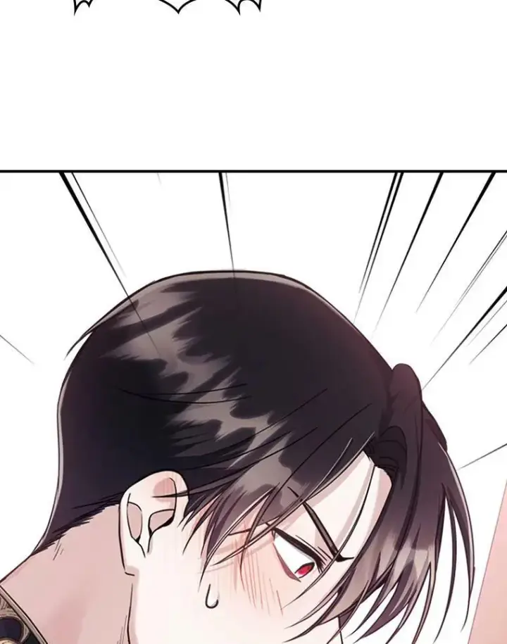 《满级公女今天也很无聊》21.生日礼物图22