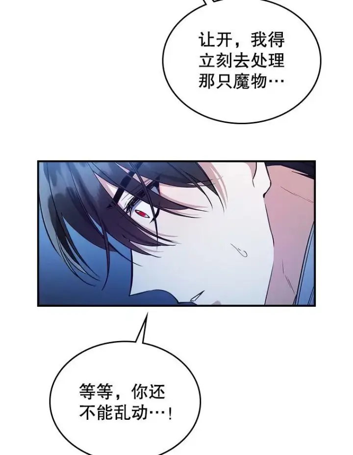 《满级公女今天也很无聊》39.交战图66